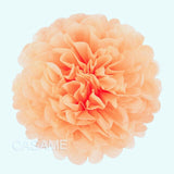10 pcs 4 inches 10 cm Tissue Paper Pom Poms Flowers Balls baby Shower Party Decoration pompoms pompom ball festival Mariage