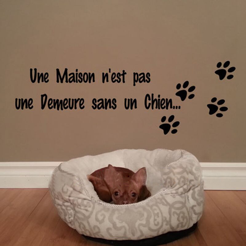 Free shipping Lettrage Une maison n'est pas une demeure sans un chat Lettering wall stickers dog cat home decoration,fr2002